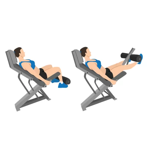 レッグエクステンション