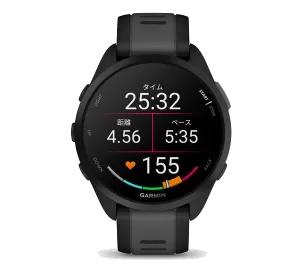 ガーミン165商品画像