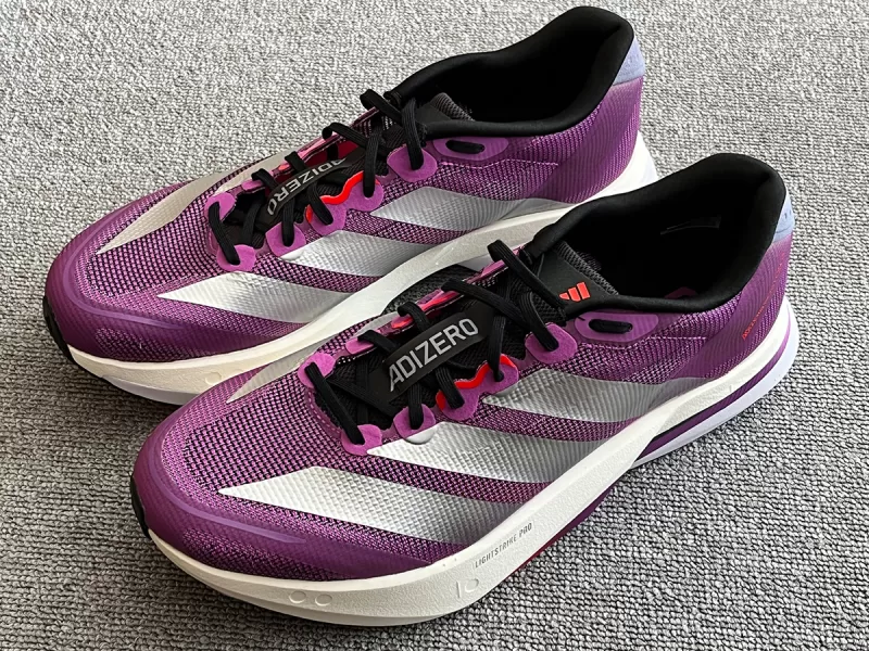 ボストン13斜め真上画像