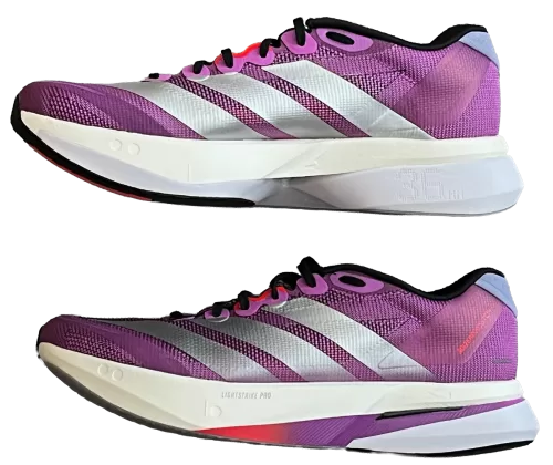 ボストン13真横画像